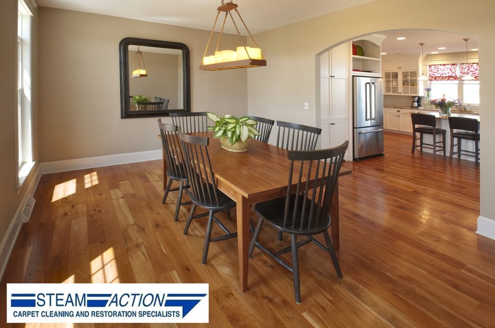 Steam Action Carpet Cleaning  & Restoration Specialists