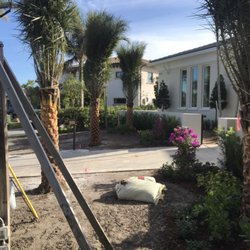 G Grhoppers Landscaping And Design Get Quote Photo Of G Grhoppers Landscaping And Design C Springs Fl United States
