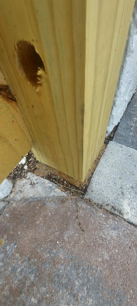 Z Fence