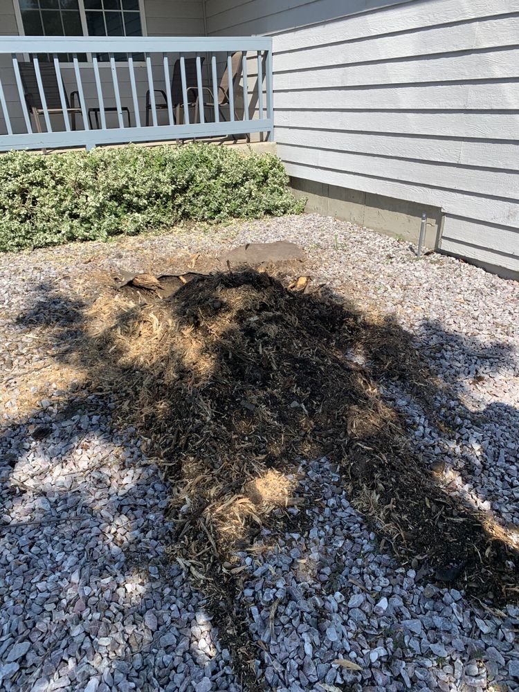 Sam's Tree & Landscape