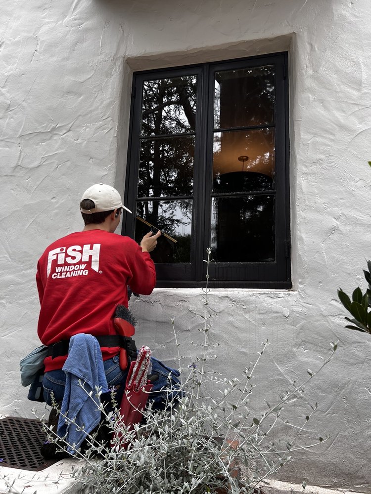 Fish Window Cleaning