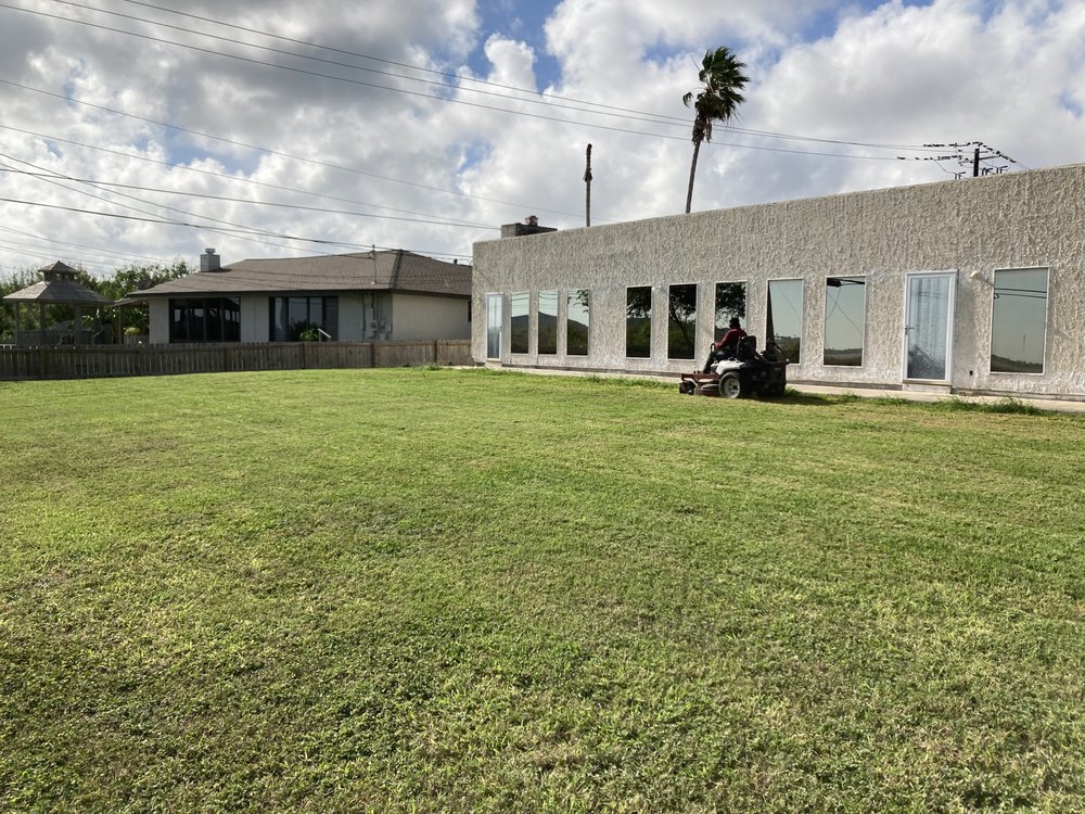 Mr Saenz Expert Lawn Care