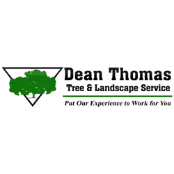 thomas tree service landscaping photo of dean thomas tree landscape service pittsburgh pa united states services pittsburgh thomas tree service landscaping photo of dean thomas tree landscape service pittsburgh pa united states services pittsburgh