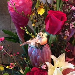 Island Orchard Florist 16 Photos 24 Reviews Florists 75 Photo Of Island Orchard Florist Kailua Kona Hi United States Even A