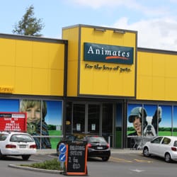 animates pet shops 5 wagener pl mt albert auckland animates pet shops 5 wagener pl mt albert auckland