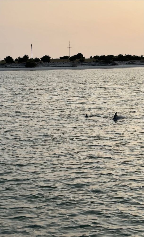 Morehead City Ferry Service