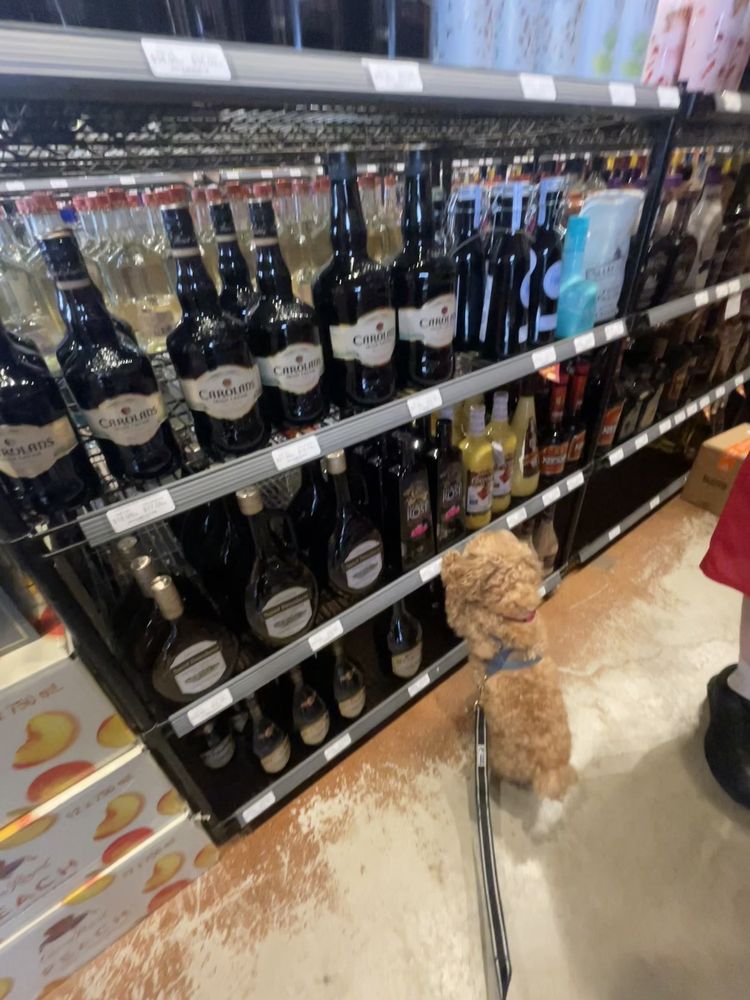 Twin Liquors