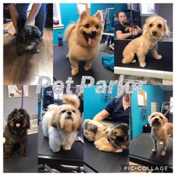 Pet Parlor Grooming 23 Photos Groomers 12615 Greenwell Photo Of Pet Parlor Grooming Baton Rouge La United States