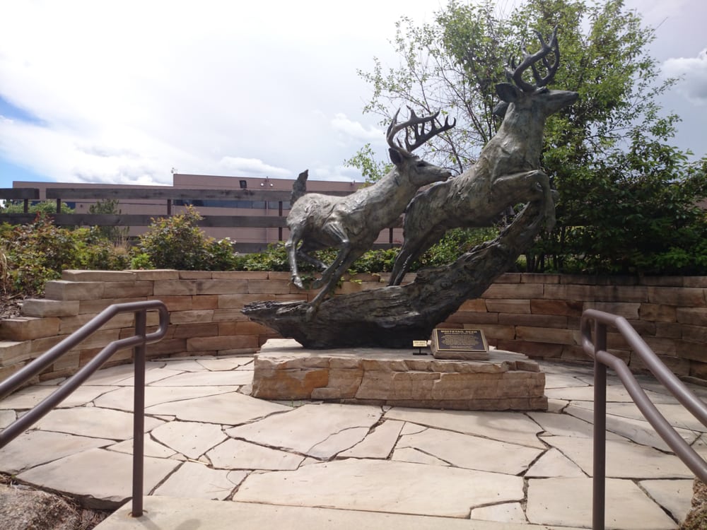 Leanin’ Tree Museum of Western Art & Gift Shop 55 Photos Museums