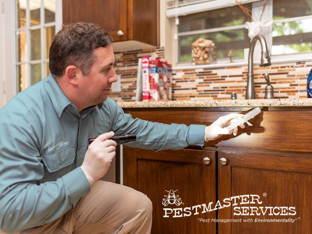 PestMaster of Jacksonville