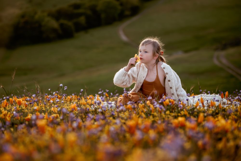 Diana Jex Photography