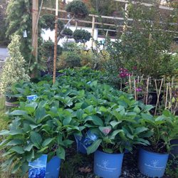 A N T Nursery 12 Photos Nurseries Gardening 1439 A N T Nursery 12 Photos Nurseries Gardening 1439