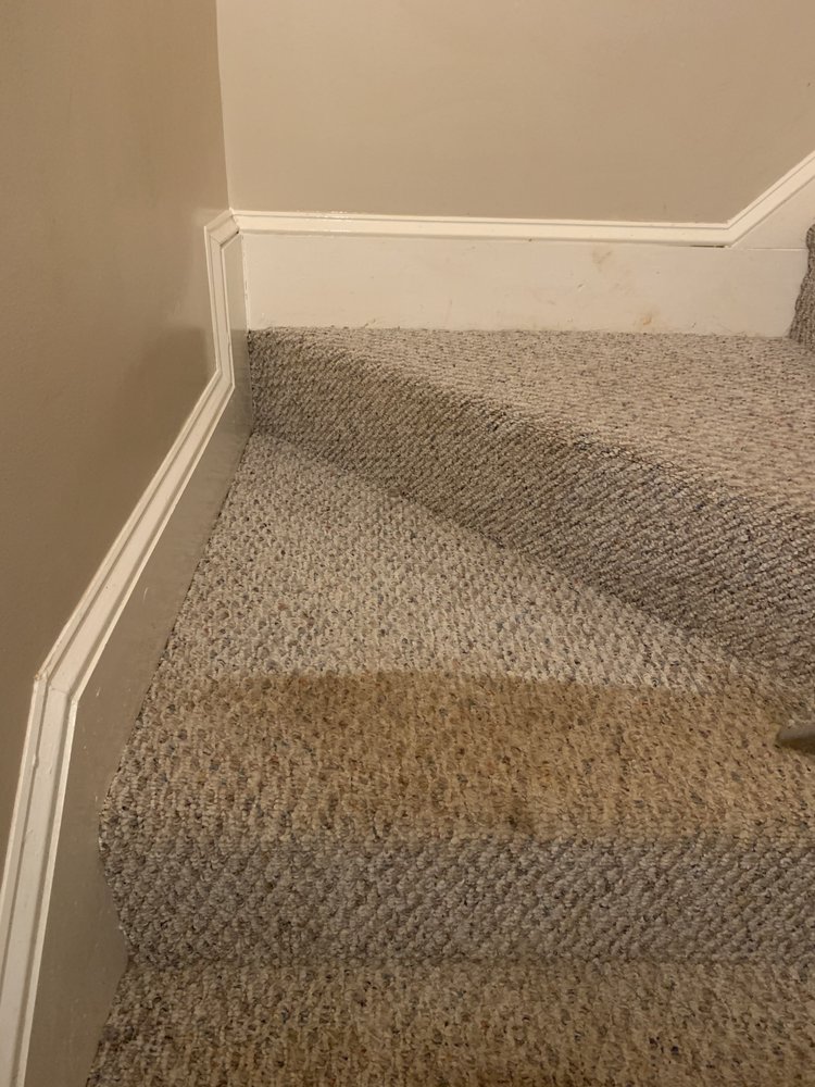 Terry's Carpet Care