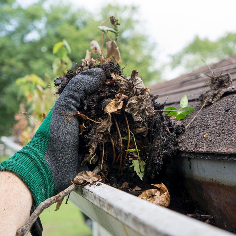 Rudy Gutter Services