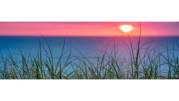 Peaceful Recognitions