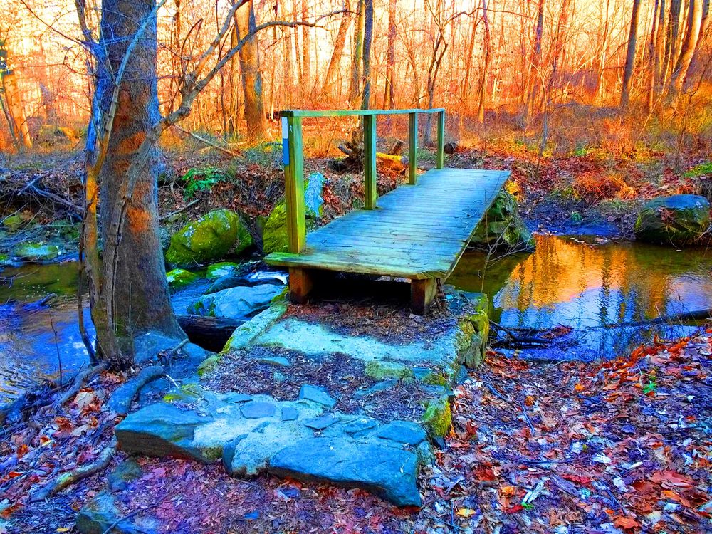 Ridley Creek State Park