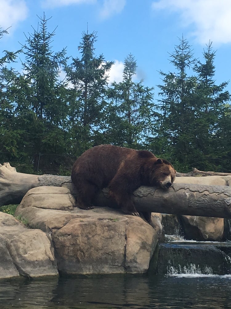 Arken zoo Filippinske kvinder i Danmark Arken zoo Filippinske kvinder i Danmark