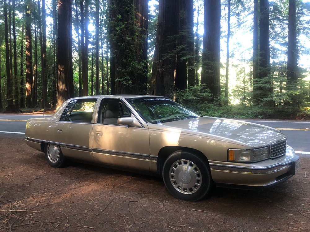 The Detail Doctor