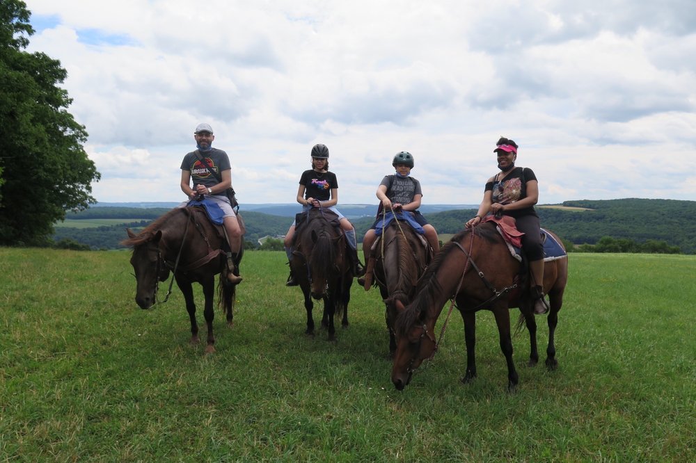 Photo of Overland Morgan Horse Farm