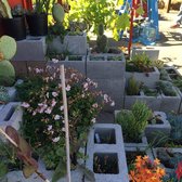 Ploughshares Nursery 39 Photos 45 Reviews Nurseries Photo Of Ploughshares Nursery Alameda Ca United States