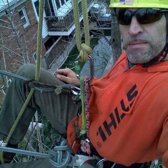 Internet Tree Service