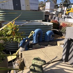 Top 10 Best Firewood Near Surry Hills Sydney New South Wales Last Turtle Nursery