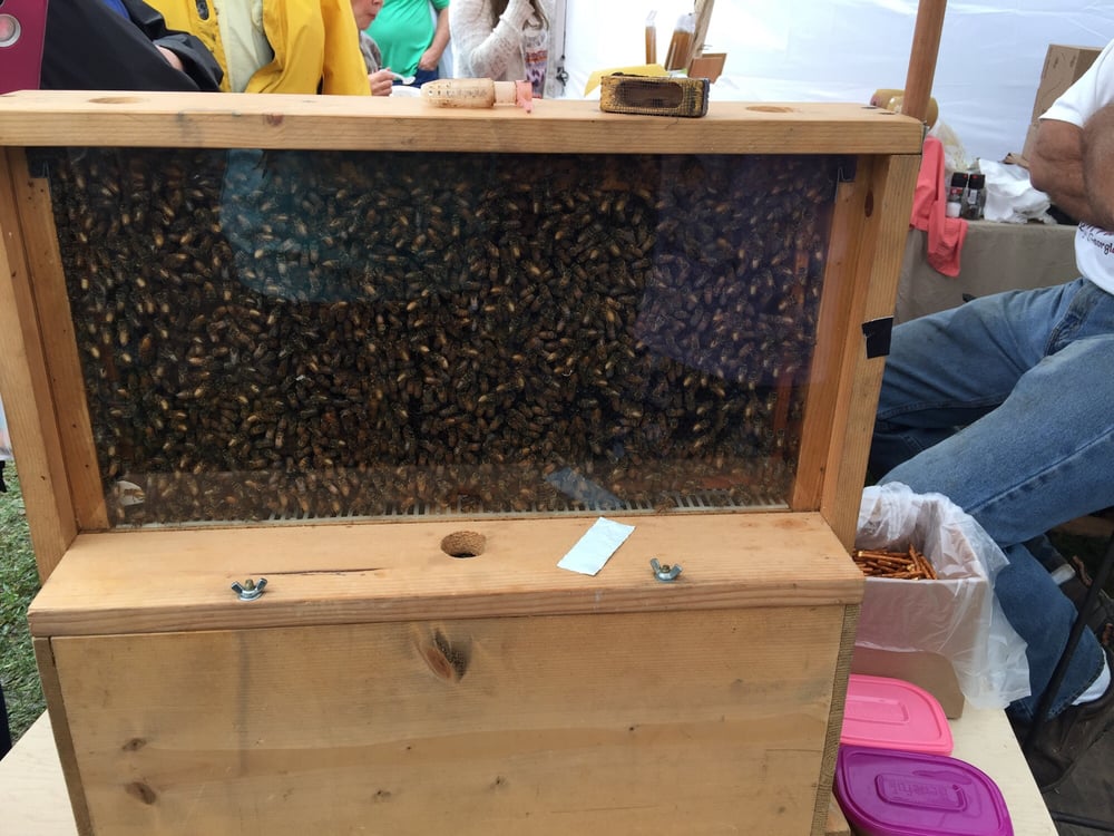 Apple Festival 22 Photos Festivals 1729 S Main St