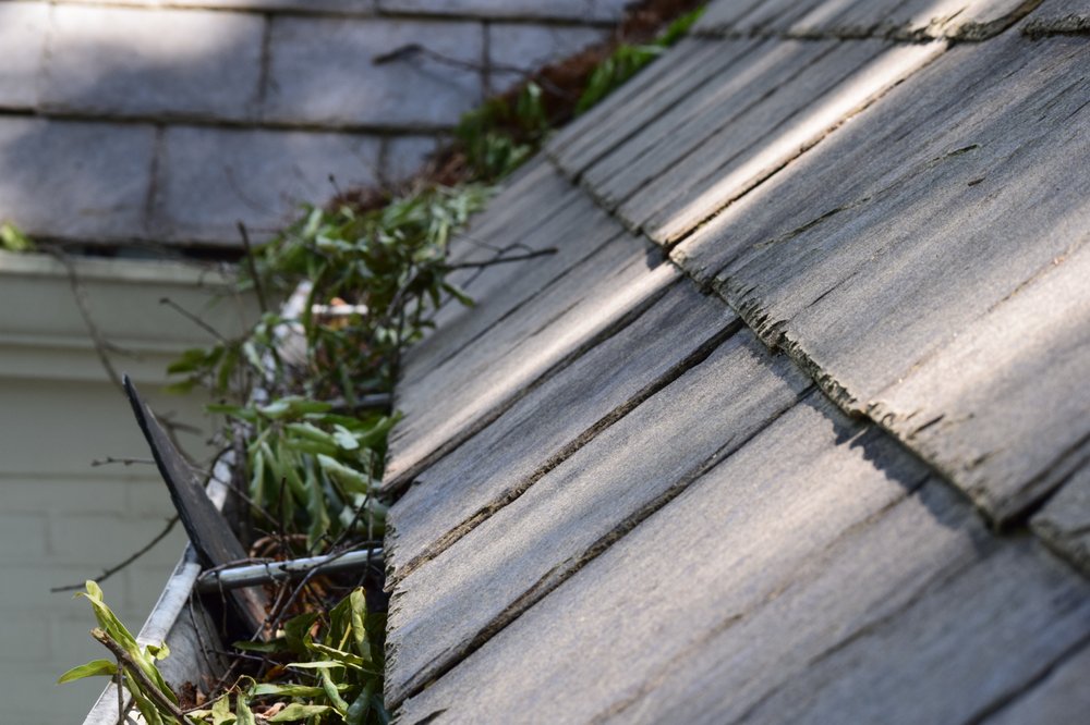 Window Hero Charlotte