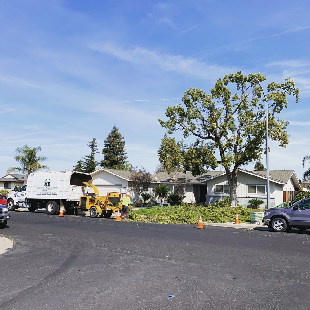 Maldonado Brothers Tree Service