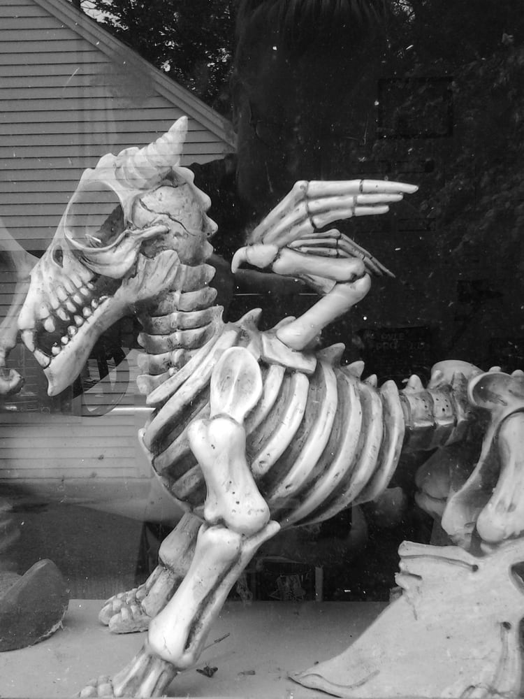 Ellsworth Craigslist Personals Alternatives Sites Like Craigslist Personals