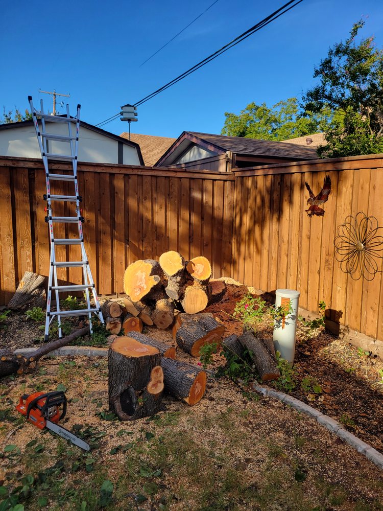 J R Enterprises and Tree Services
