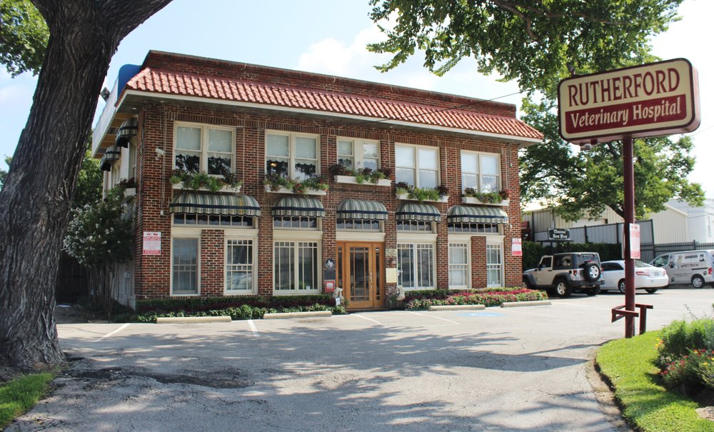 Rutherford Veterinary Hospital 20 Photos & 58 Reviews Veterinarians 924 S Haskell Ave