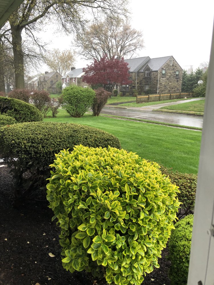 Henderson Fertilizing
