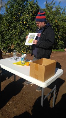 Greenfield Citrus Nursery 2558 E Lehi Rd Mesa Az Nurseries Mapquest