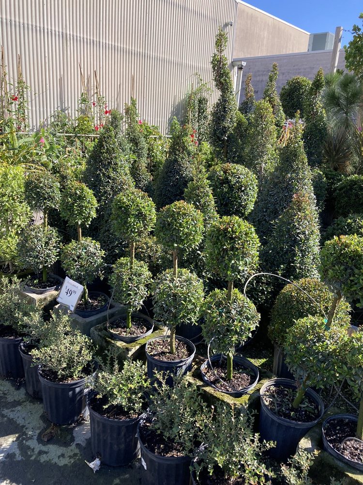 Driftwood Garden Center & Florist