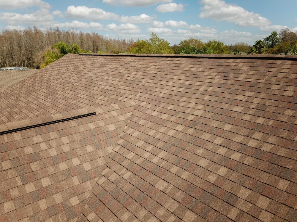 Rainier Roofing