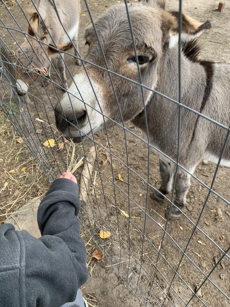 Blodgett Family Farm