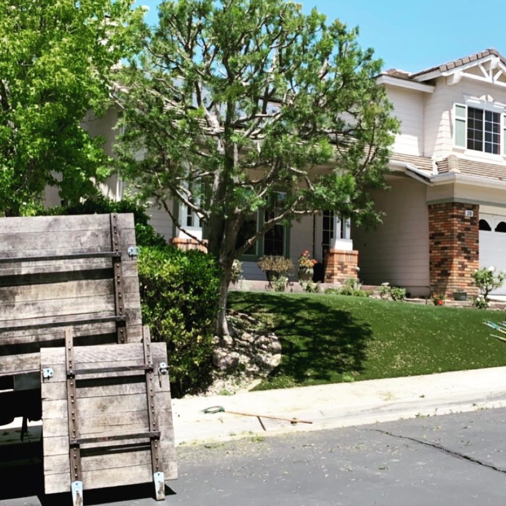Rm Tree Care