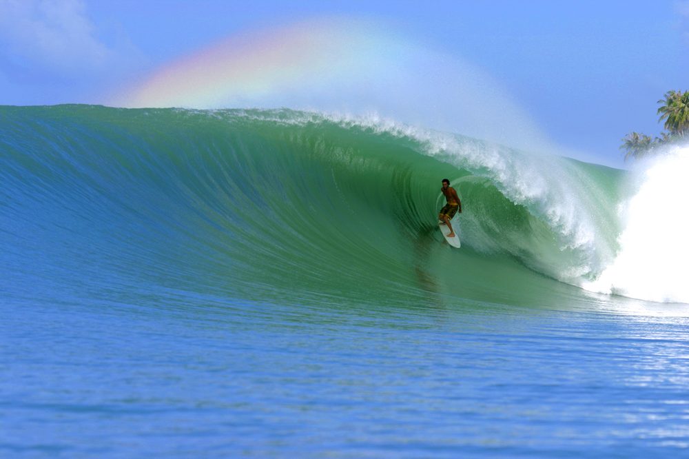 Indi Surf Skate
