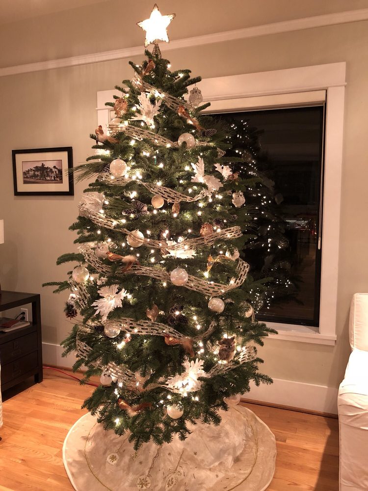 Hunter Christmas Trees