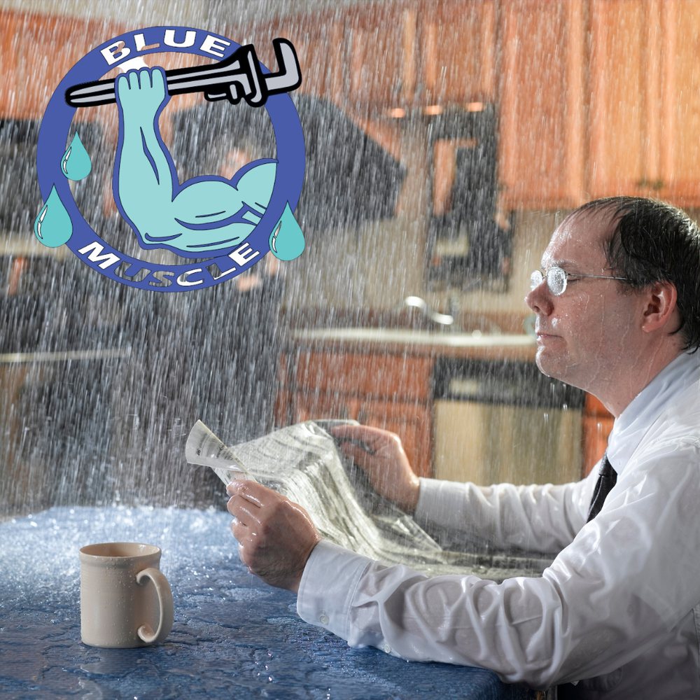 Blue Muscle Plumbing And Rooter Service
