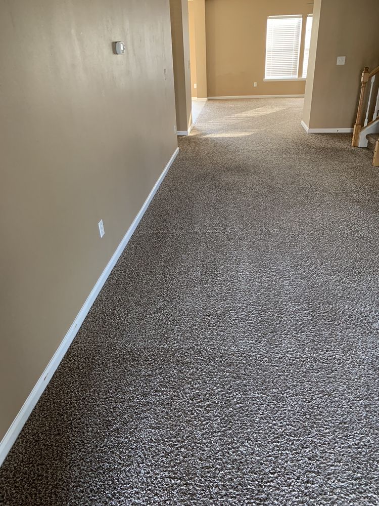 Julington Creek Carpet Care