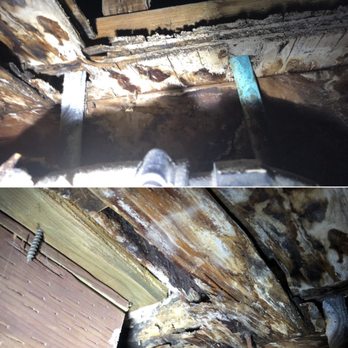 Check For Mold 31 Reviews Home Inspectors 6185 Magnolia Ave Photo Of Check For Mold Riverside Ca United States Black That