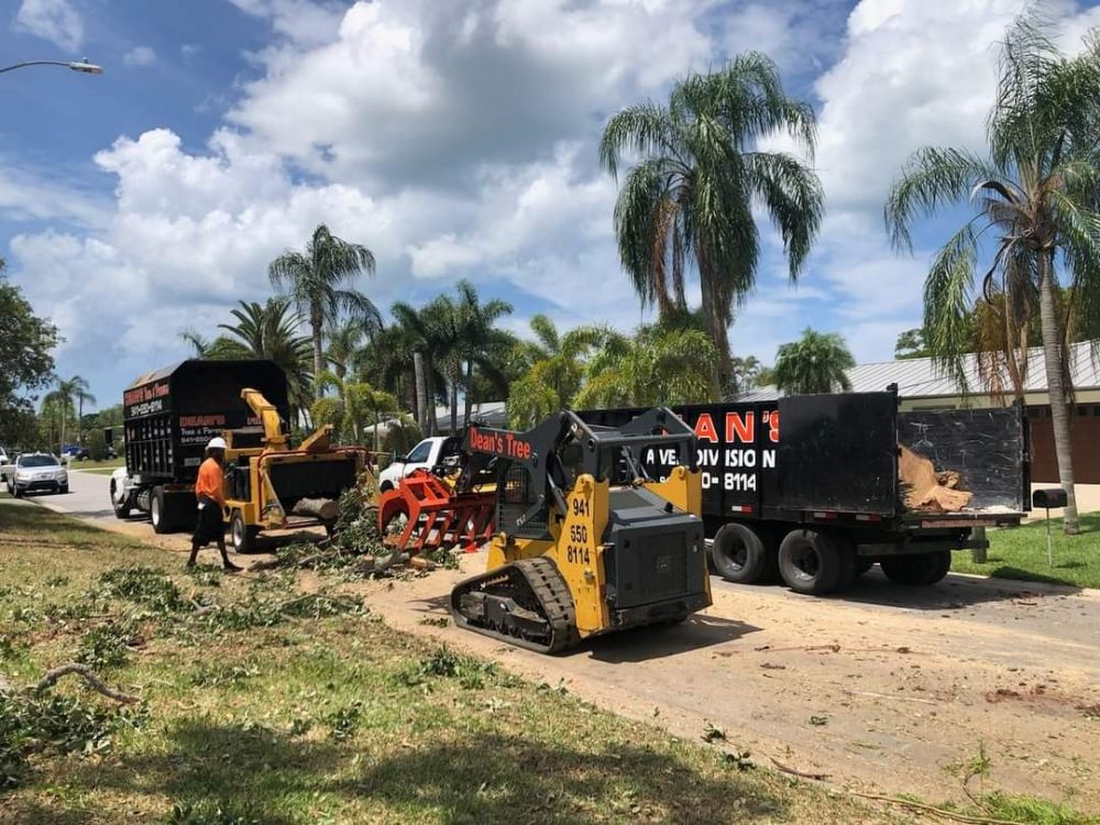 Deans Tree Service