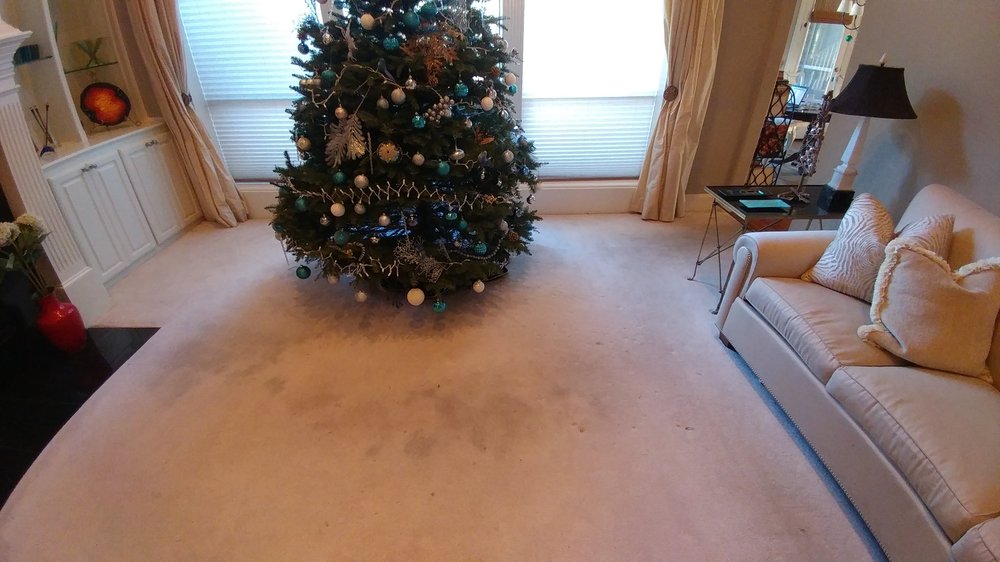 Angel Dry Carpet & Rug Cleaning