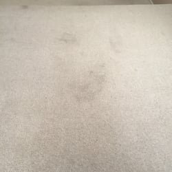 Al S Formula Ecozyme Bio Systems Best Rated Carpet Shampooer3 Lightweight Cleaners Reviews 2017