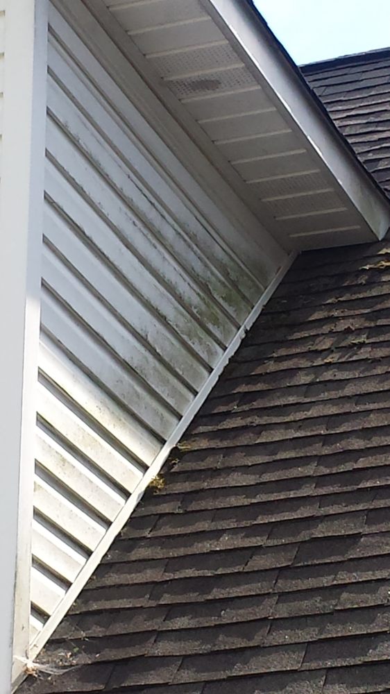 Gutter Cleaners of Cleveland Elite