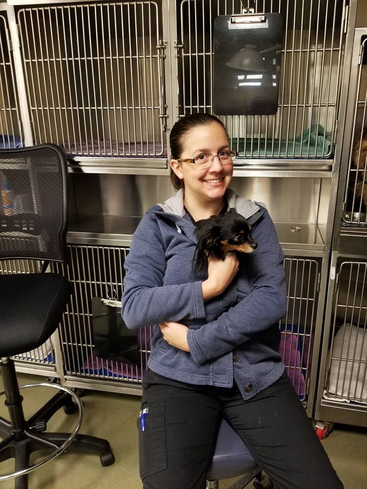 a Vet Tech Vet Tech Schools Fort Worth TX Find Vet Tech