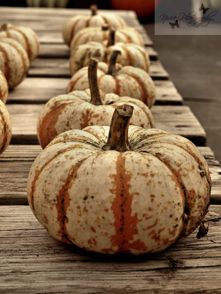 Ken's Produce & Garden Center