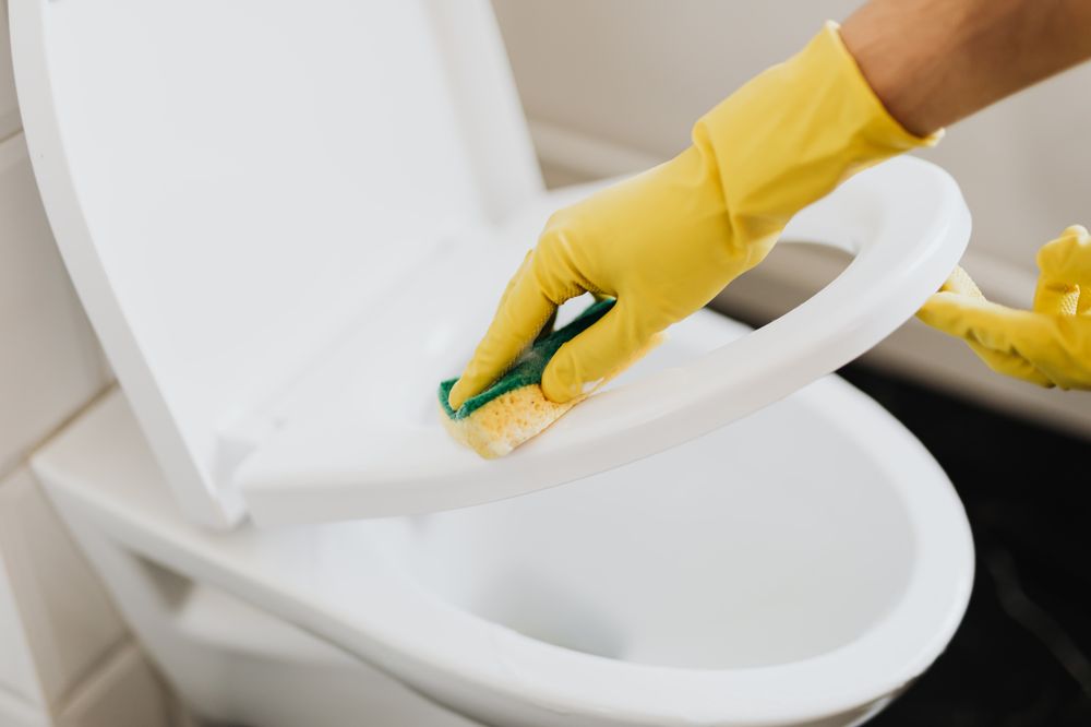 Glorias House Cleaning